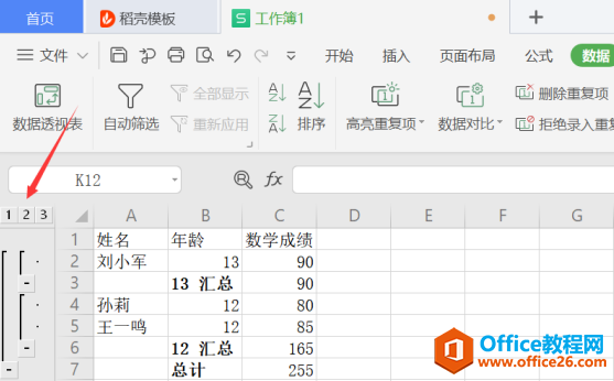 WPS 如何查看excel中分类汇总数据后的明细数据”