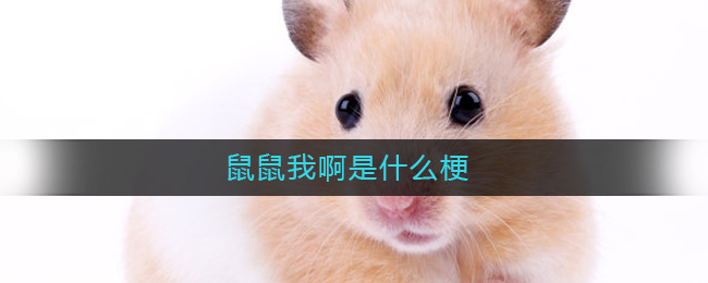 鼠鼠我啊是什么新梗？鼠鼠我啊真的生气了梗出处和含义”