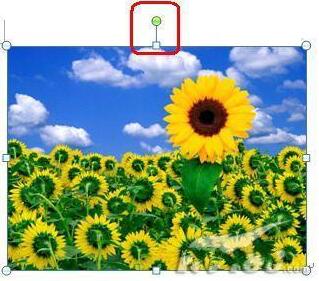 Word2007图像处理有哪些功能 Word2007图像处理功能介绍”
