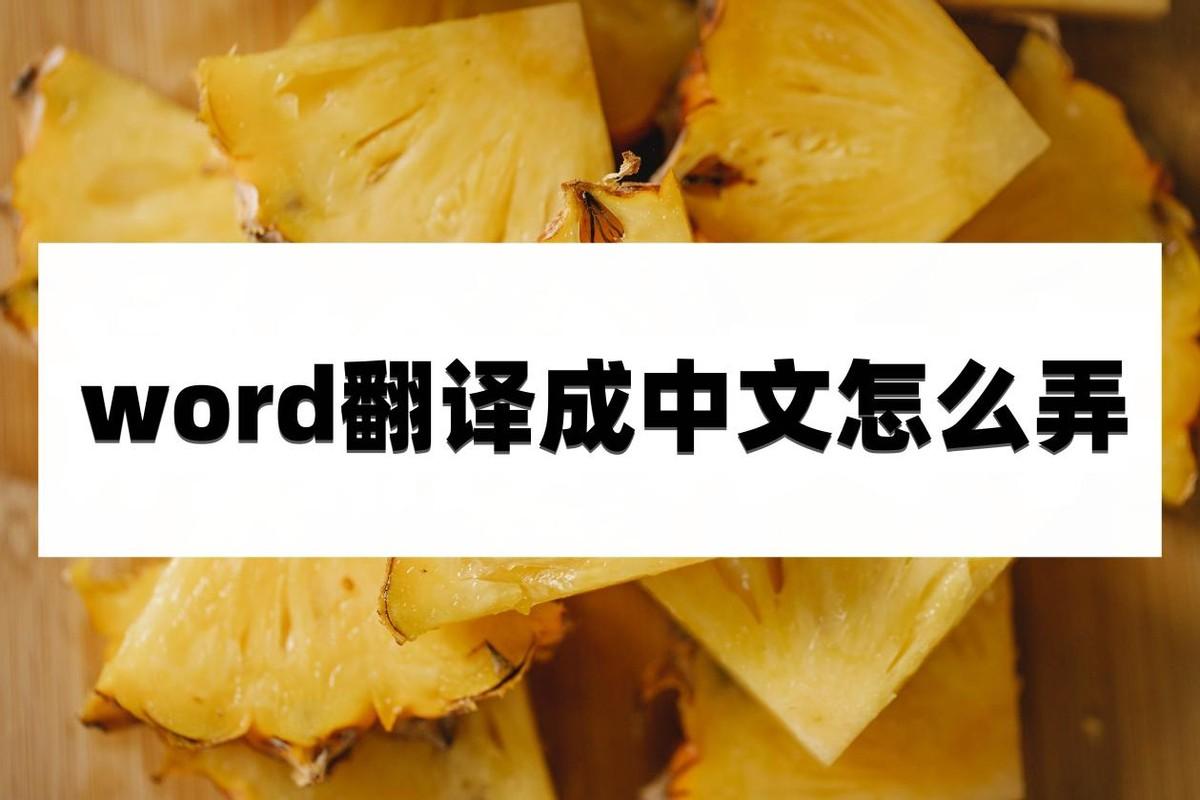 word翻译成中文怎么弄？介绍几个实用技巧”