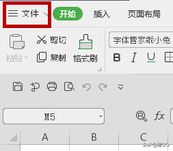 WPS excel文件如何加密”