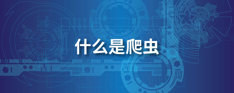 什么是爬虫”