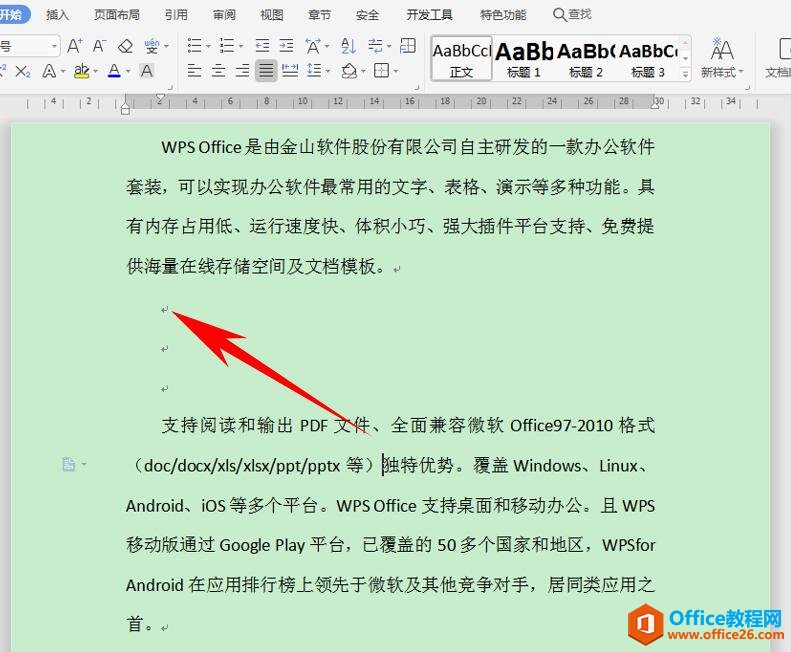 如何去掉 Word 里的大量回车符”