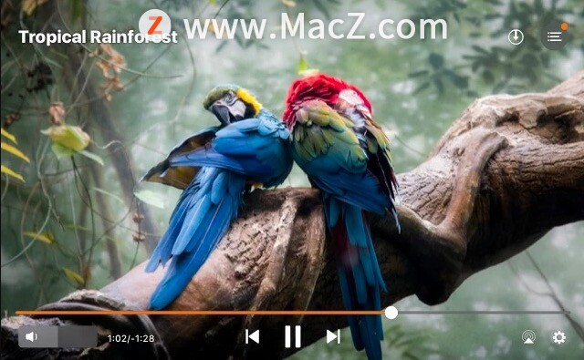 苹果Mac好用的视频播放器：Elmedia Player Pro”