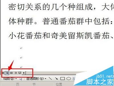 word中插入的gif动画怎么设置动起来?”