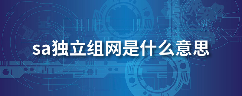 sa独立组网是什么意思”