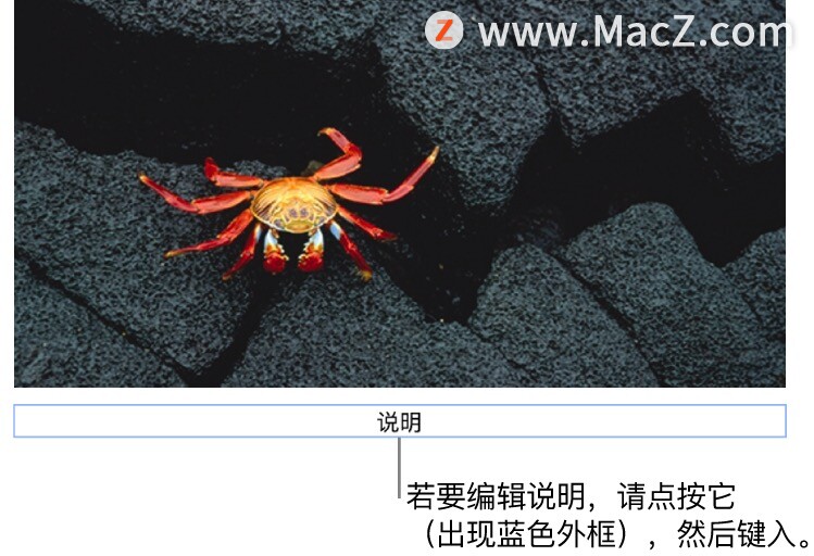 在 Numbers 表格中如何为对象添加说明或标题？