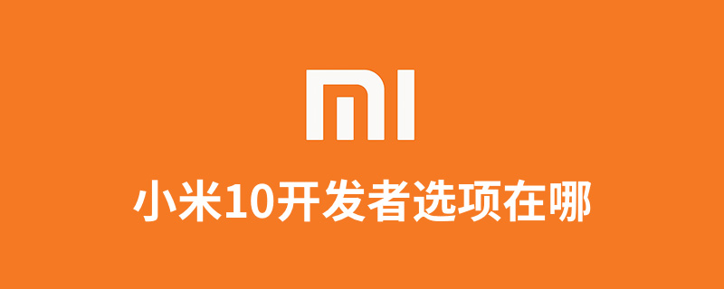 小米10开发者选项在哪”