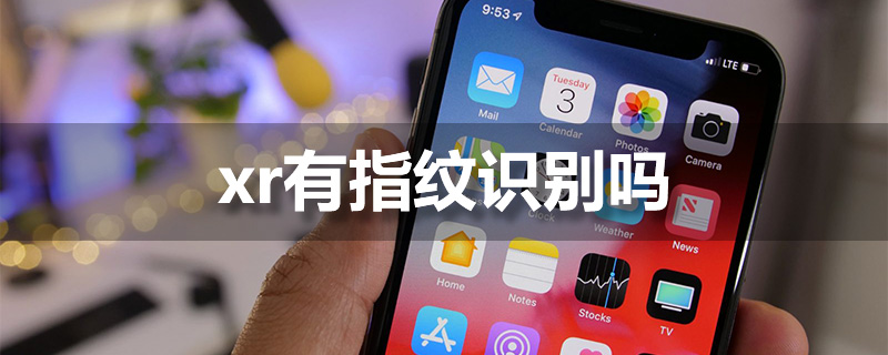 xr有指纹识别吗”