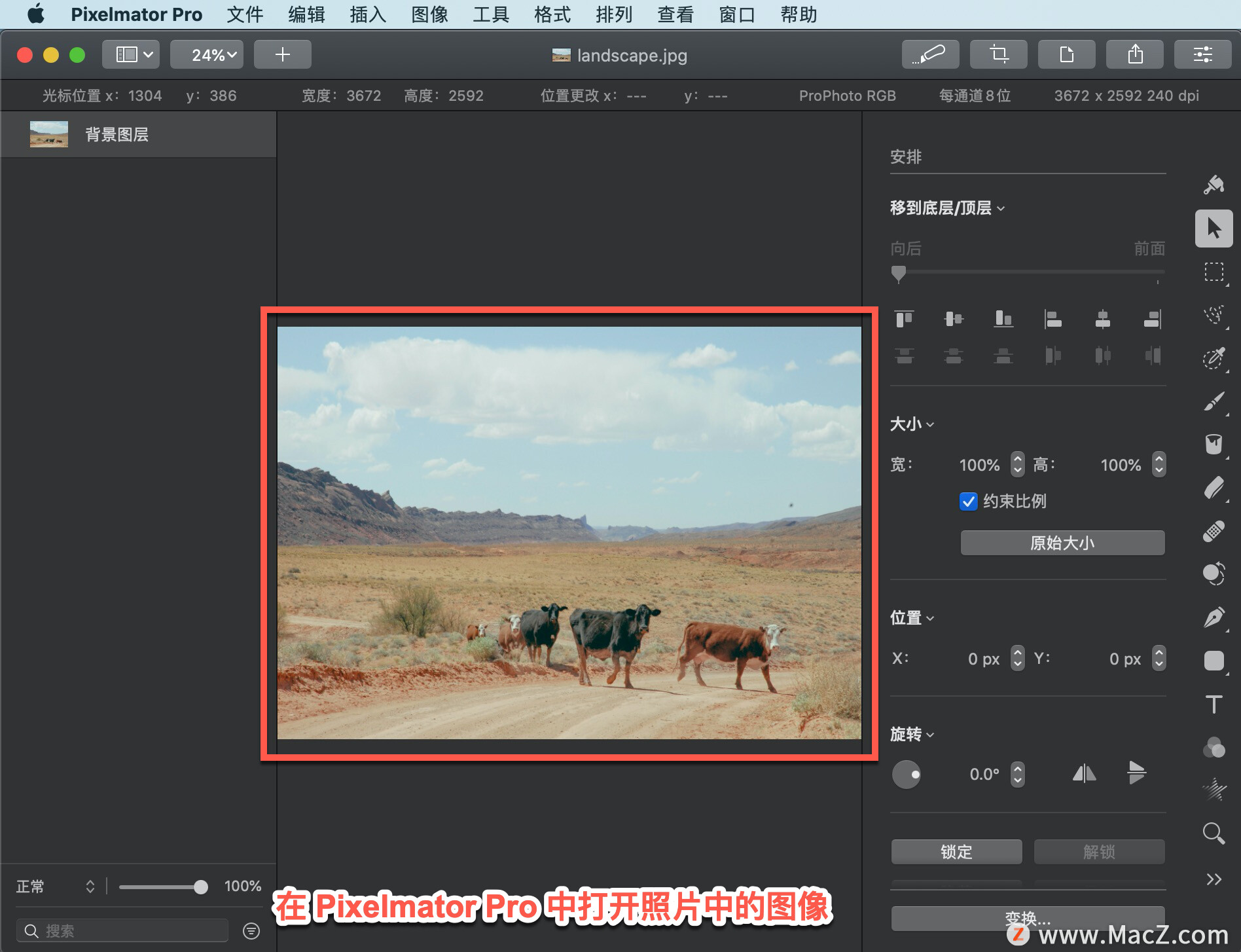 Pixelmator Pro 教程「22」，如何在照片中编辑图像？”