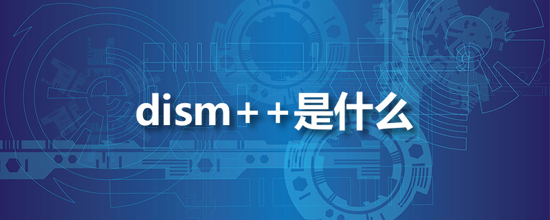 dism  是什么”