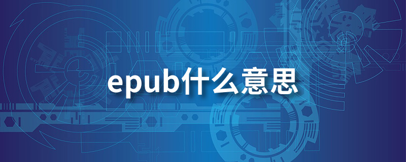 epub什么意思”