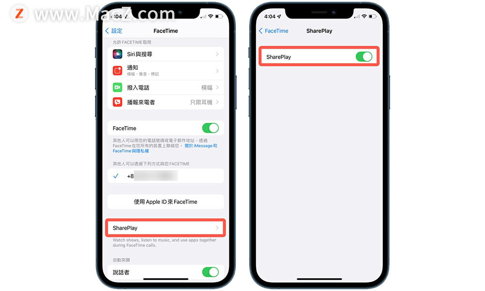 如何使用 SharePlay 在 FaceTime 中共享画面同步播放？”