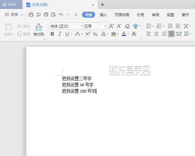 WSP字体大小怎么设置”