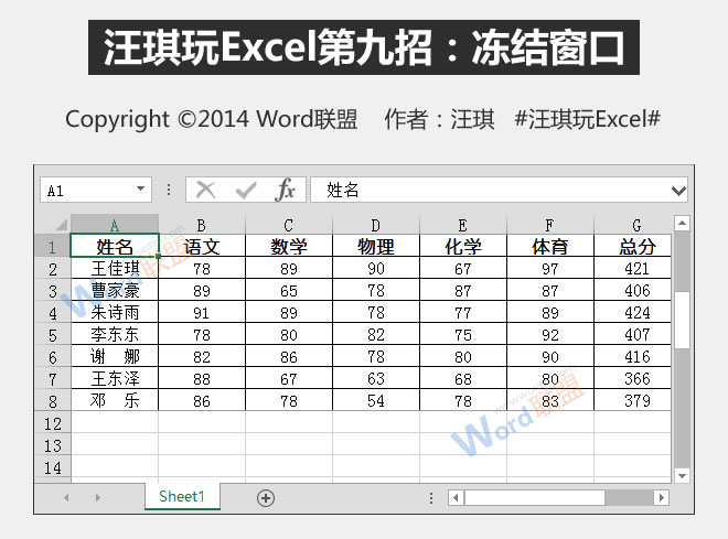 冻结窗口:王琦玩Excel的第九招”
