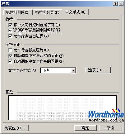 在Word2003设置Word单词换行方式”