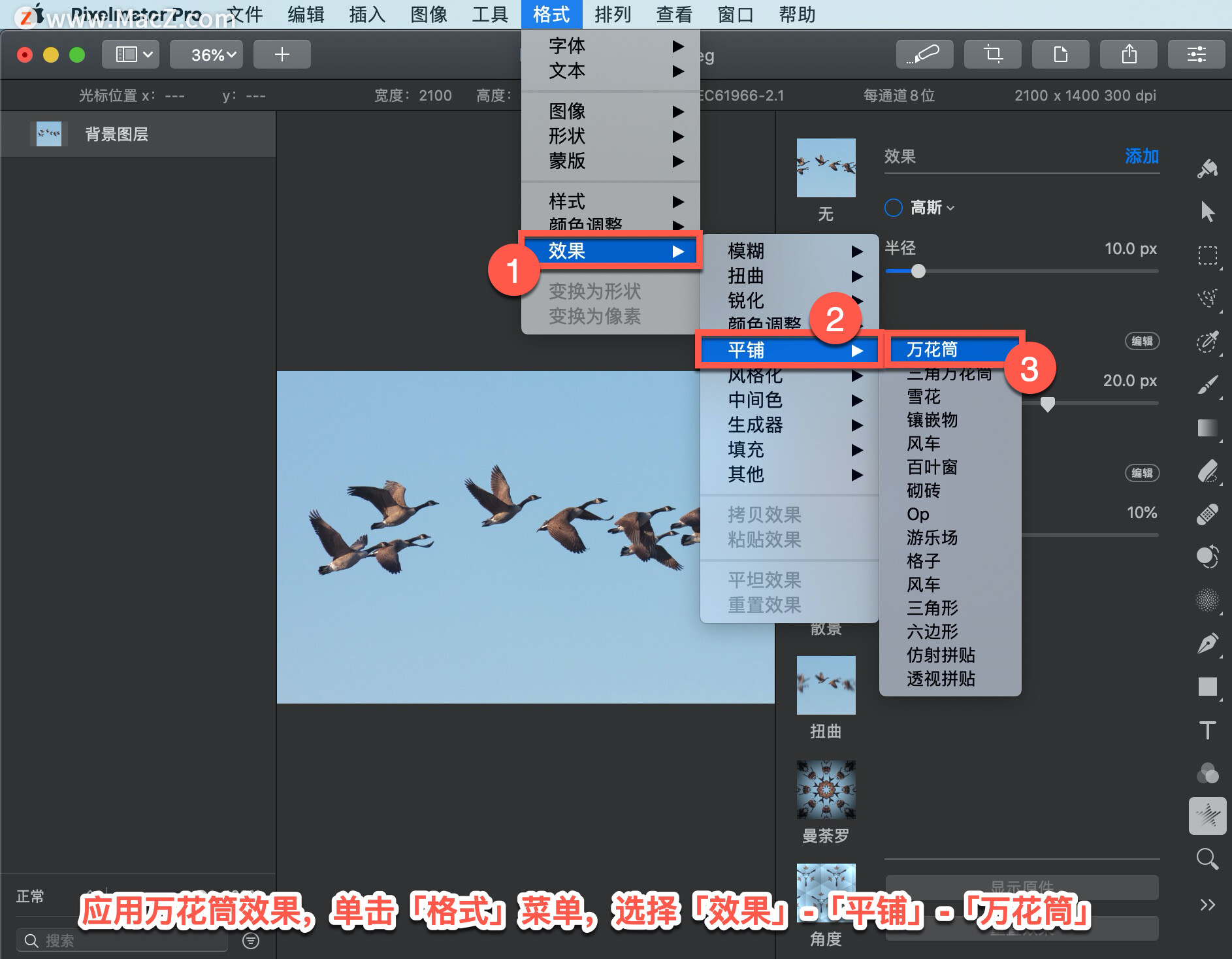 Pixelmator Pro 教程「121」，如何在 Pixelmator Pro 中应用万花筒效果？”