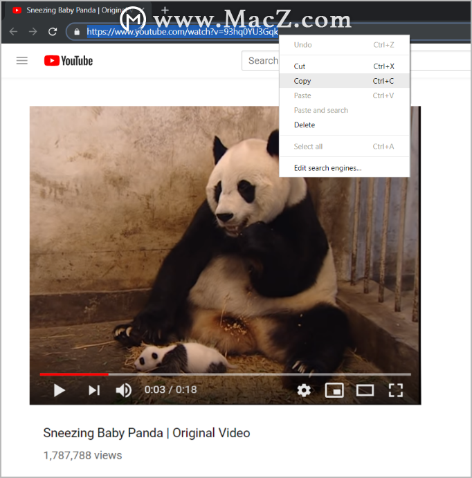 如何将YouTube视频制作成GIF？