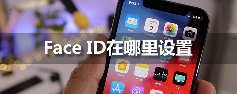faceid在哪里设置”