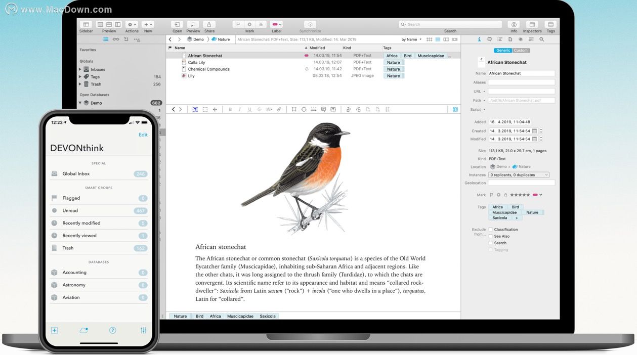 强大的DEVONthink Pro for Mac作为脚本使用，您了解有多少？