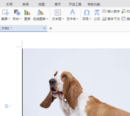wps如何让插入的图片可以随意移动”