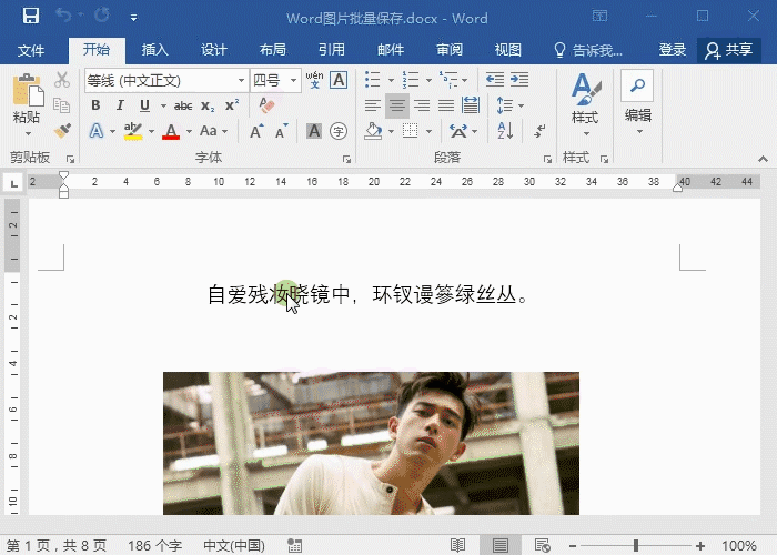 word如何批量导出图片？”