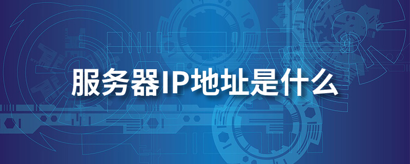 服务器ip地址是什么”