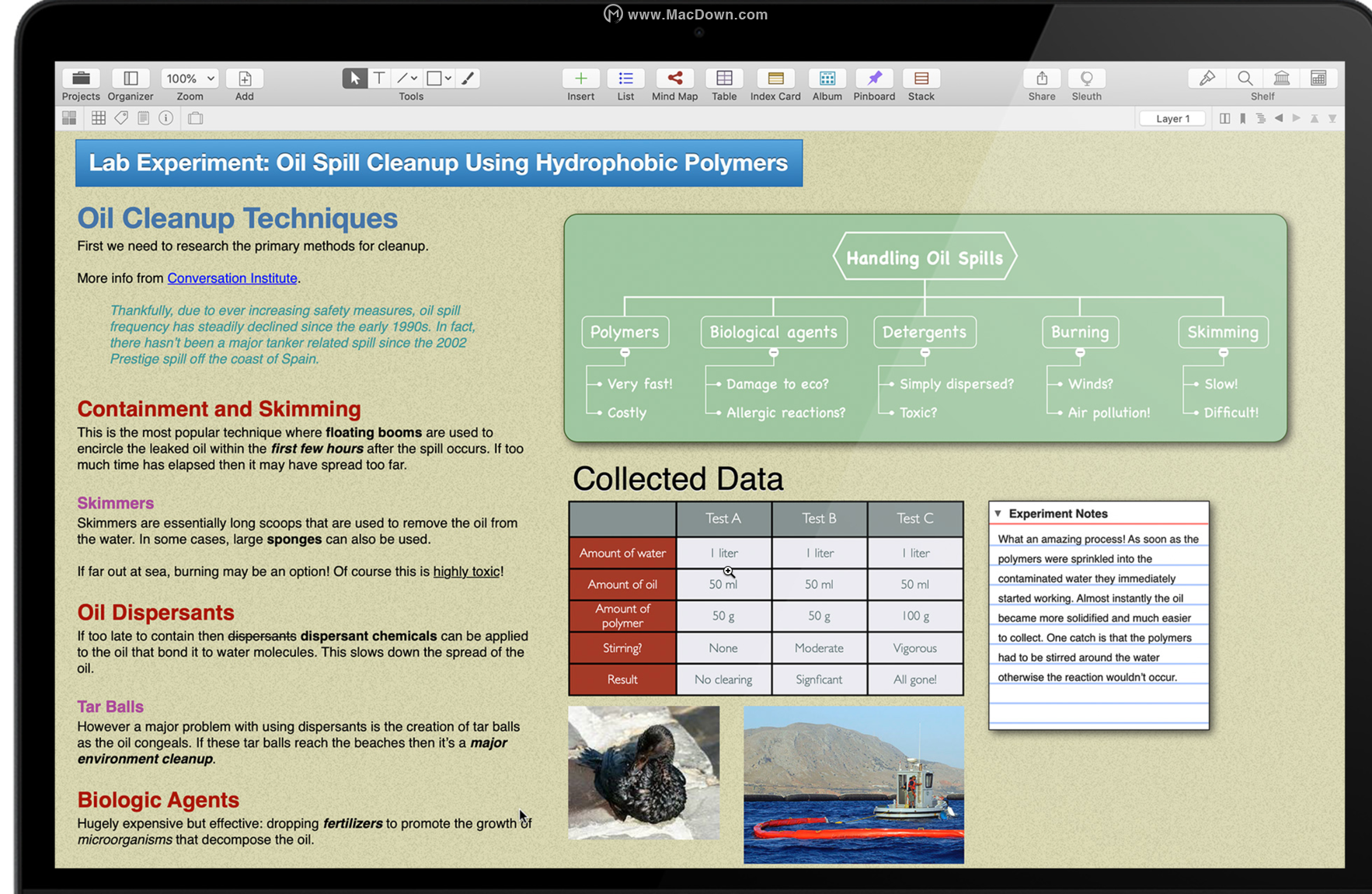 Curio Professional 13 有哪些新功能？Curio Professional功能特色介绍