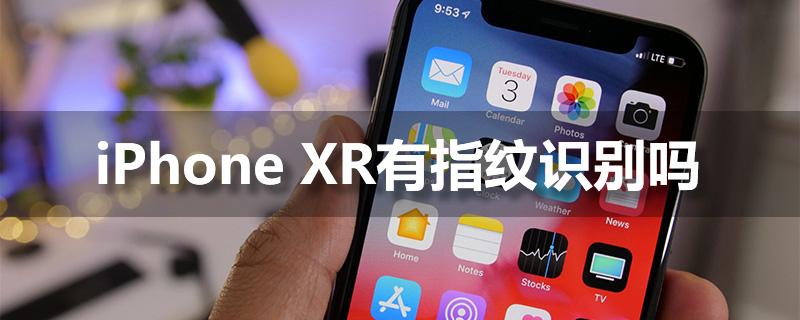 iphone xr有指纹识别吗”