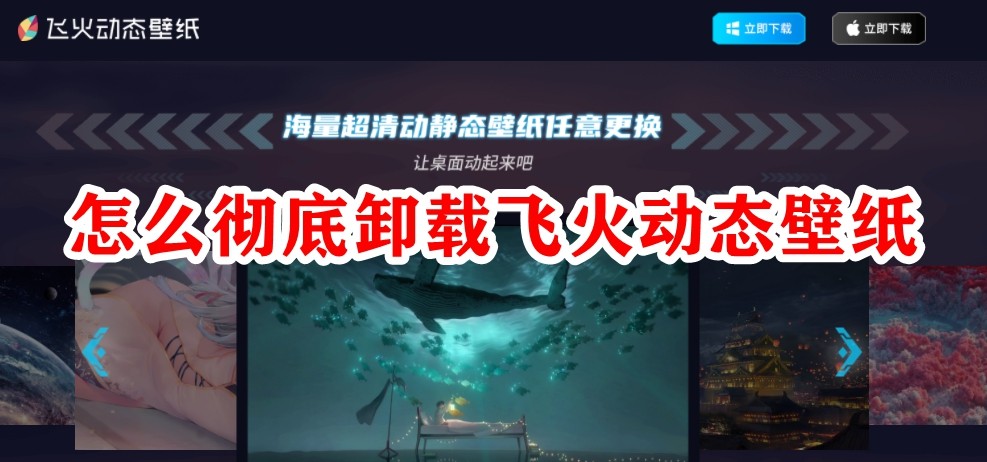 怎么彻底卸载飞火动态壁纸？彻底卸载飞火动态壁纸教程