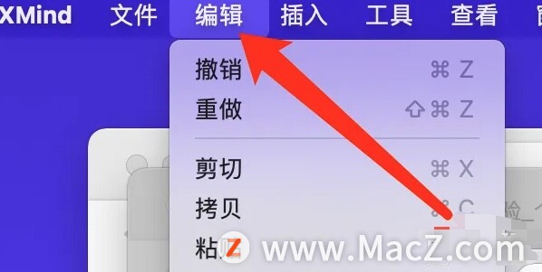 Xmind思维导图教程九：如何在Xmind中查找时进行精确匹配？