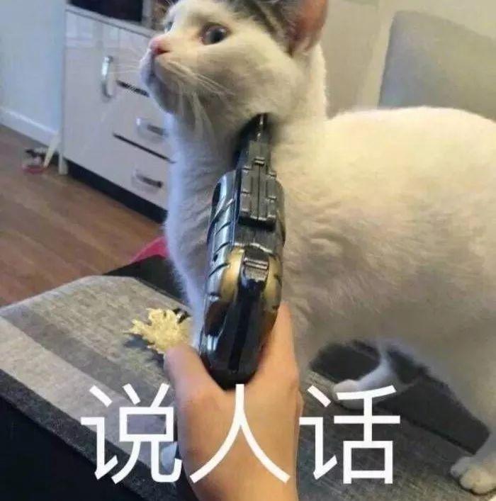 Excel与Word格式互相转换，你一定要学会”