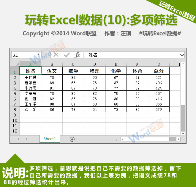 多重过滤器:播放Excel数据(10)”