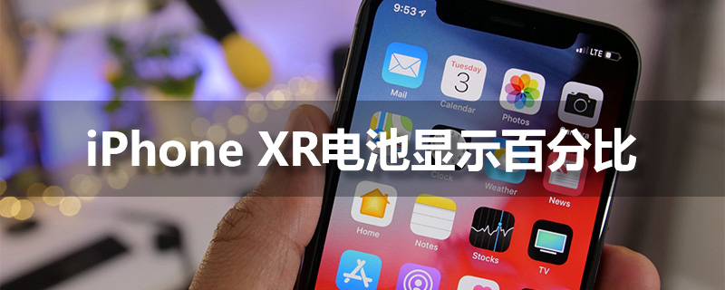 iponexr电池显示百分比”