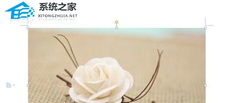 WPS文档怎么进行图片大小调整教学