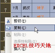 如何在Excel中复制行高或列宽”