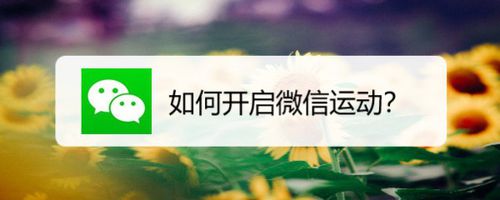 微信运动怎么开启