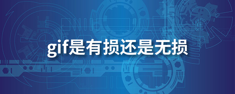 gif是有损还是无损”