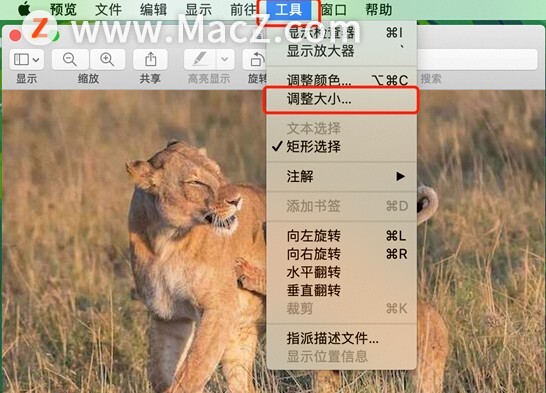 Mac新手必备小技巧”