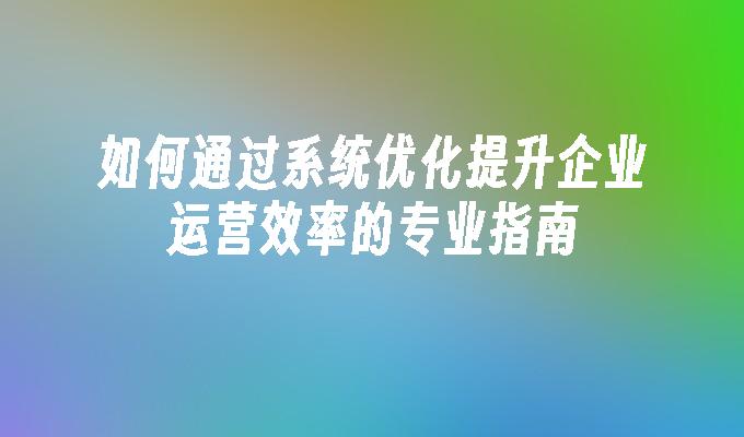 如何通过系统优化提升企业运营效率的专业指南”