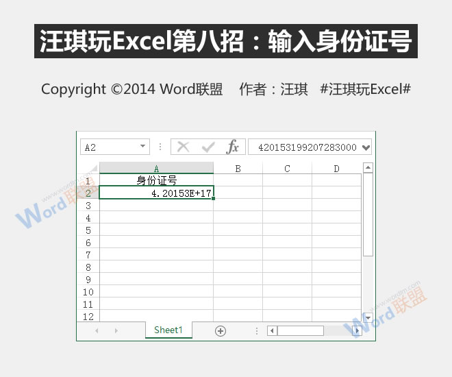 输入身份证号码:王琦玩Excel的第八招”
