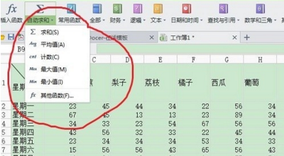 wps表格公式的应用”