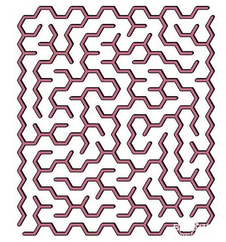 PPT怎么制作小鸭子闯迷宫的动画?”